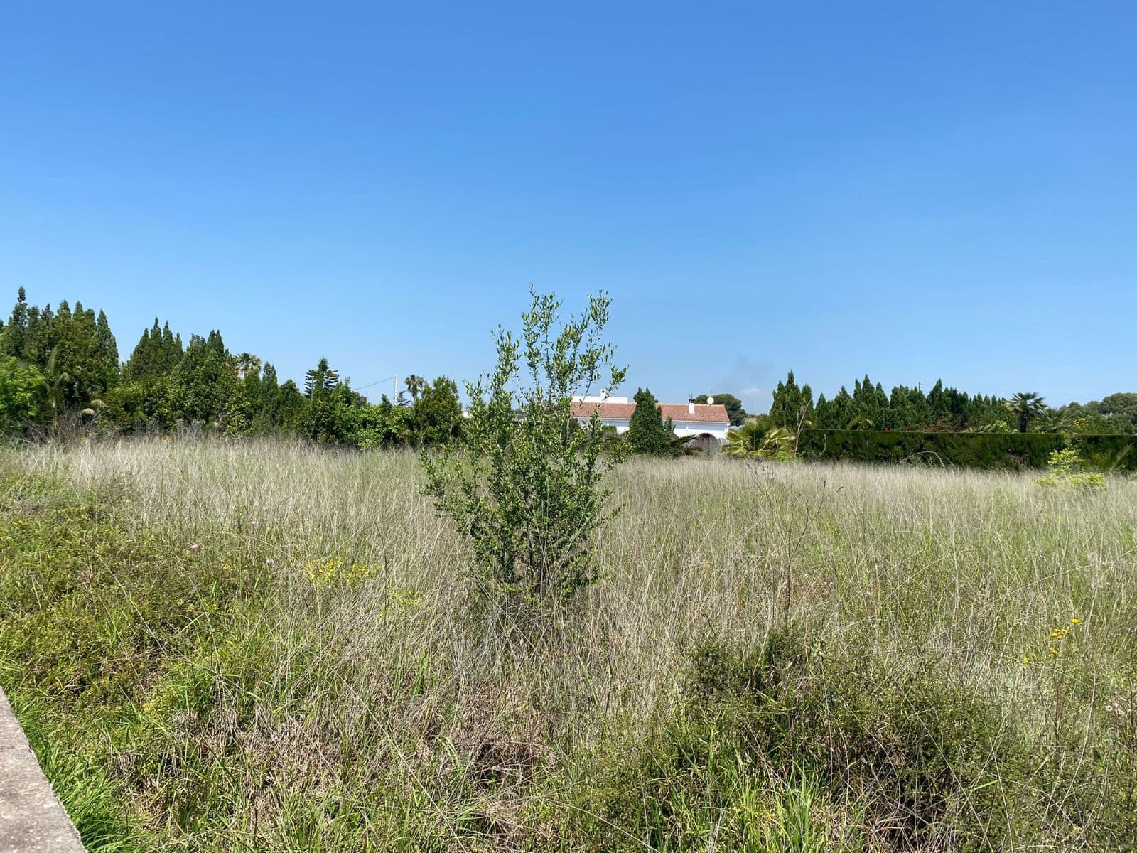 Parcela rústica de 2.450 m² junto al Termet en Vila-real - 2