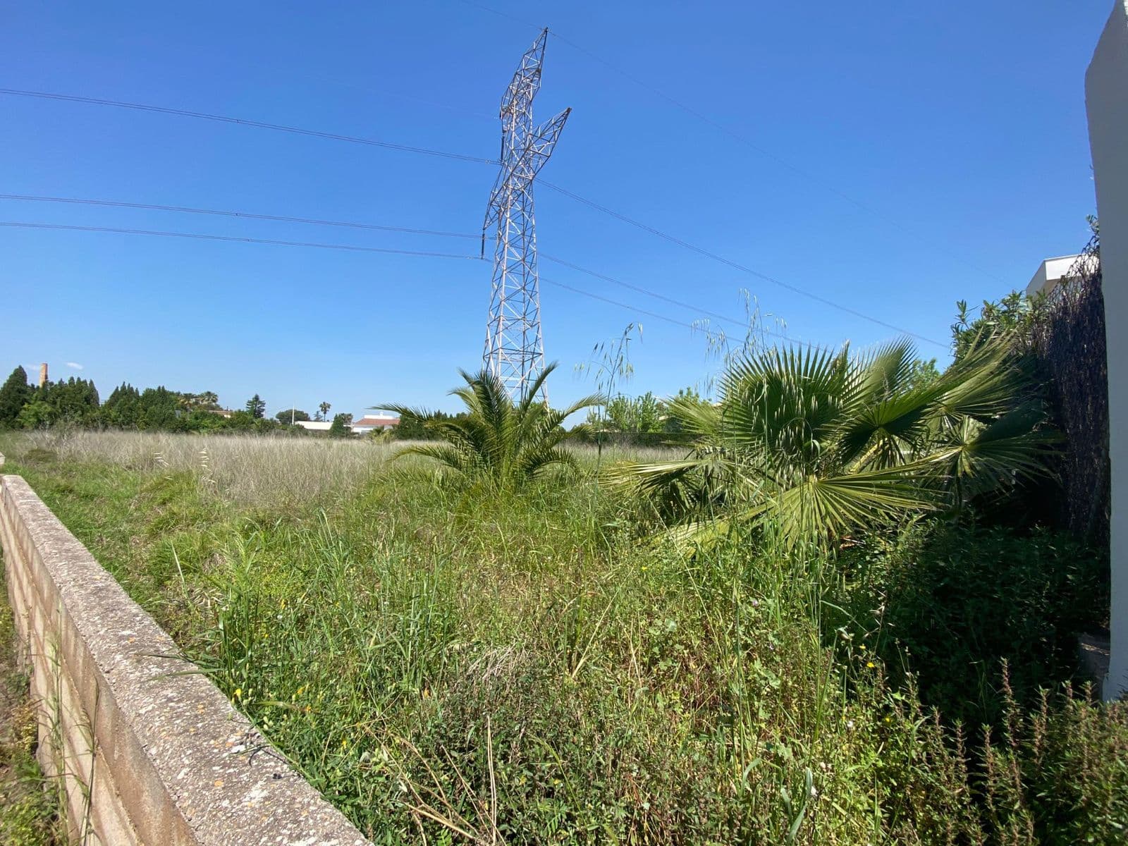 Parcela rústica de 2.450 m² junto al Termet en Vila-real - 4