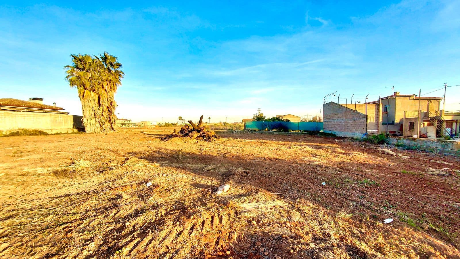 Parcela rústica de 1.200 m² en zona Santa Quiteria de Almazora - 3