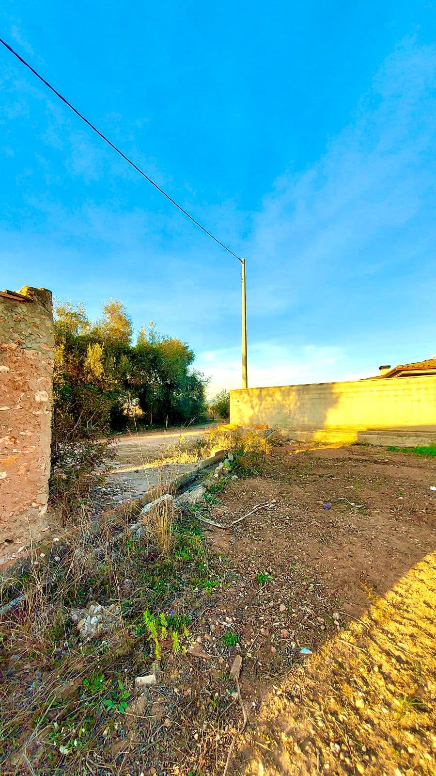 Parcela rústica de 1.200 m² en zona Santa Quiteria de Almazora - 4