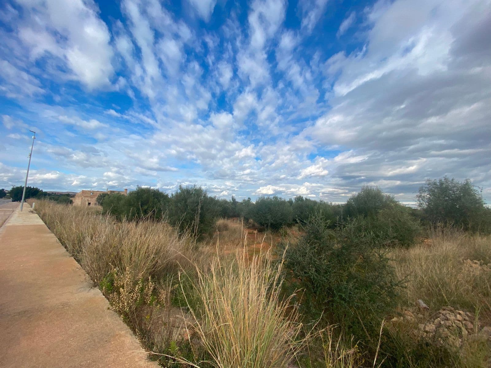 Parcela industrial de 15.360 m² junto al centro logístico Amazon en Onda
