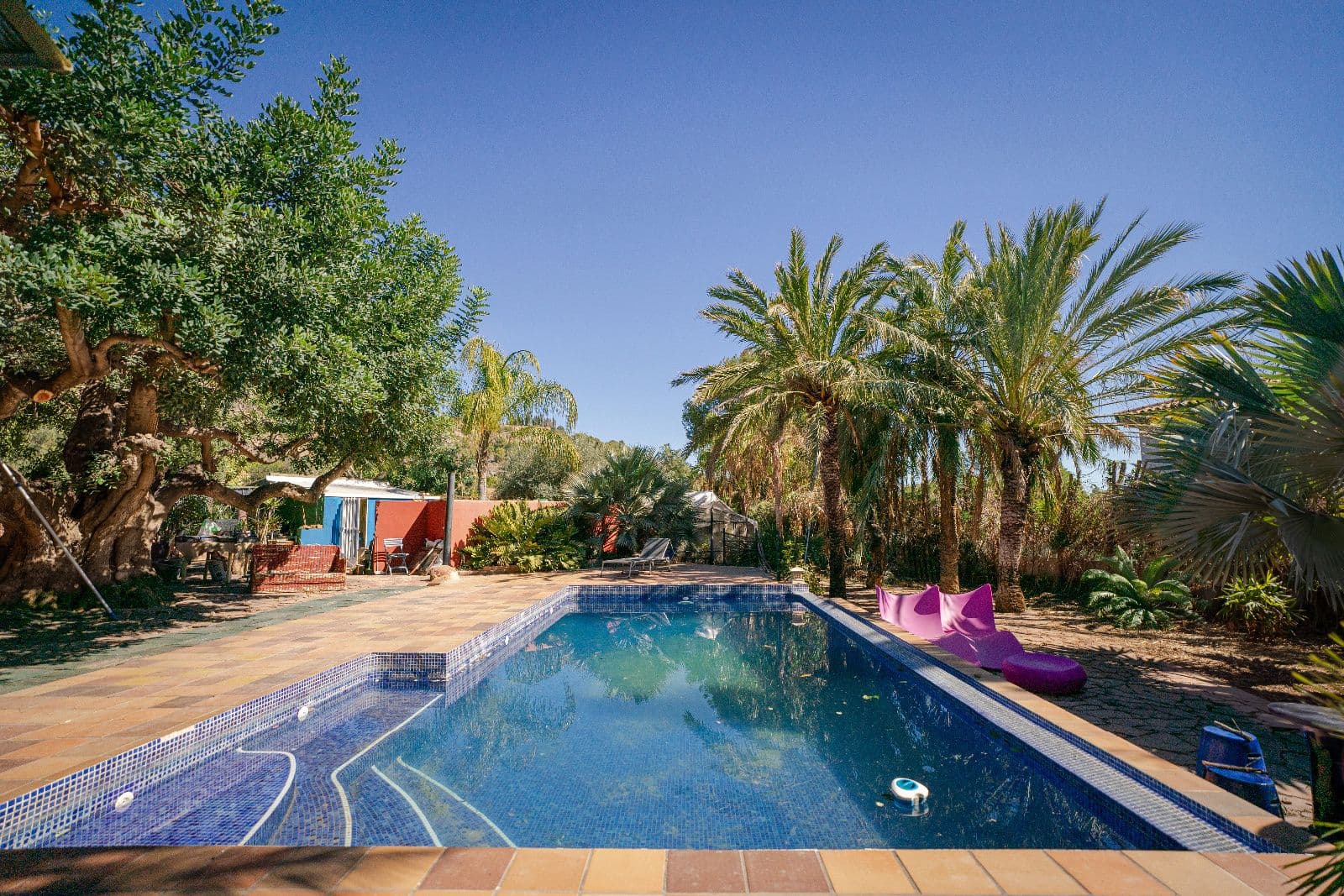 Chalet independiente con finca privada y jardín exótico en Castellón - 3