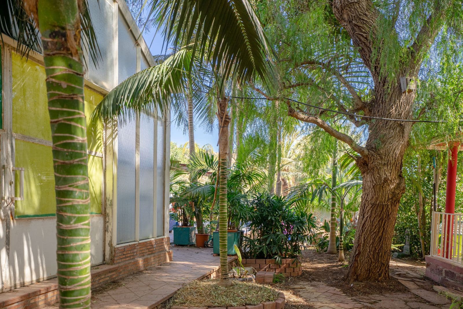 Chalet independiente con finca privada y jardín exótico en Castellón - 2