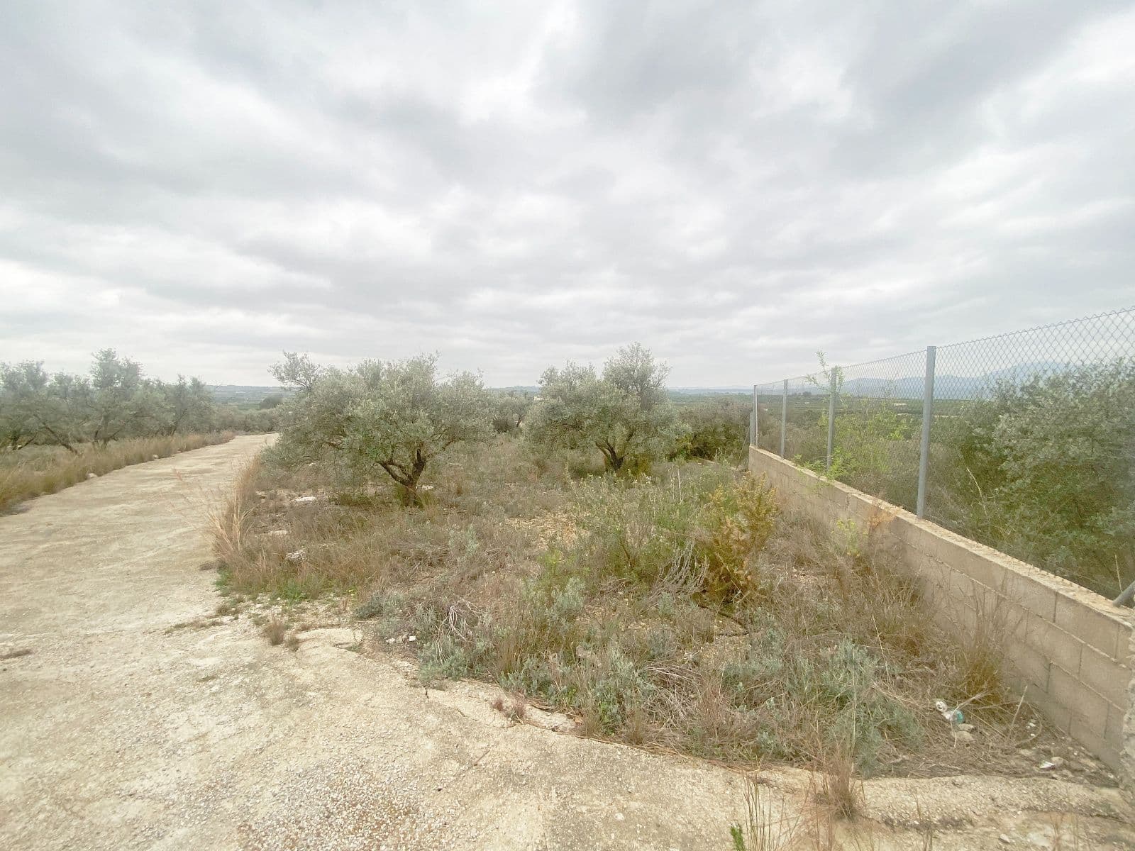 Chalet con piscina y gran parcela en Vilamarxant - 4