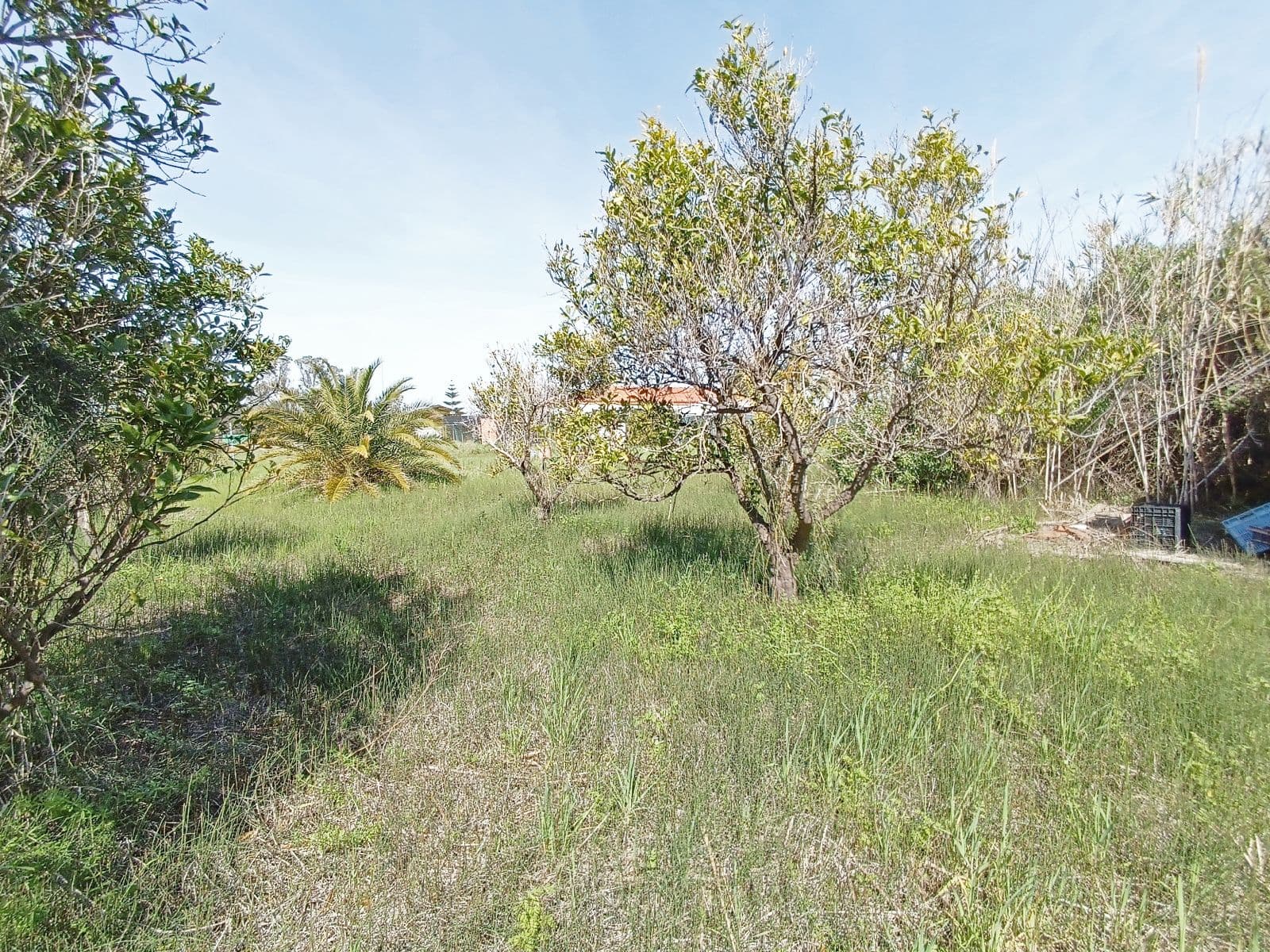 Solar urbano cerca de la playa en Nules - 4