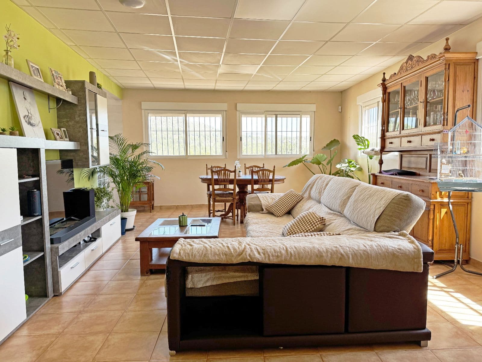 Finca rústica con REGA y vivienda en Ribesalbes