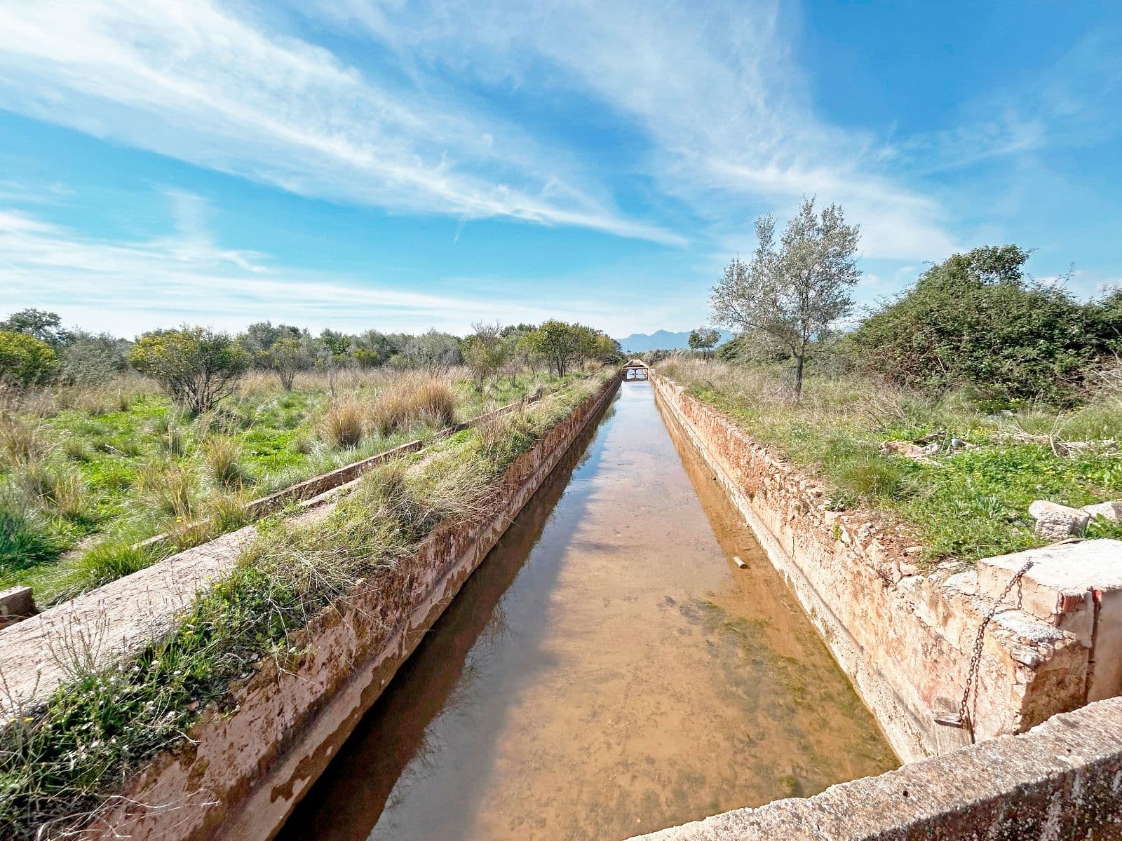 Terreno amplio con caseta en el camino del Assagador de Vila-real - 3